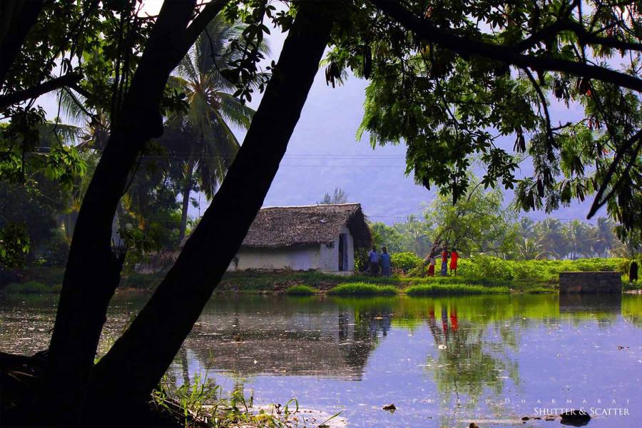 கிலிக்காட்டி