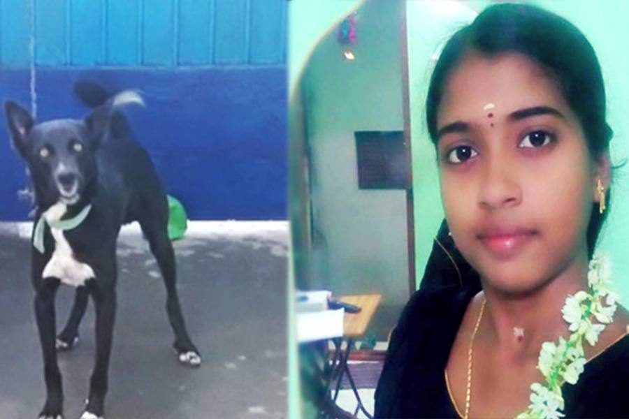 நாய் வளர்க்ககூடாது என தந்தை திட்டியதால் தற்கொலை செய்து கொண்ட இளம் பெண்!