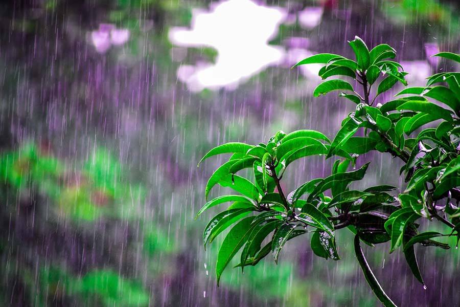 தமிழக கடலோர மாவட்டங்களில் மழை பெய்ய வாய்ப்பு- வானிலை மையம் தகவல்
