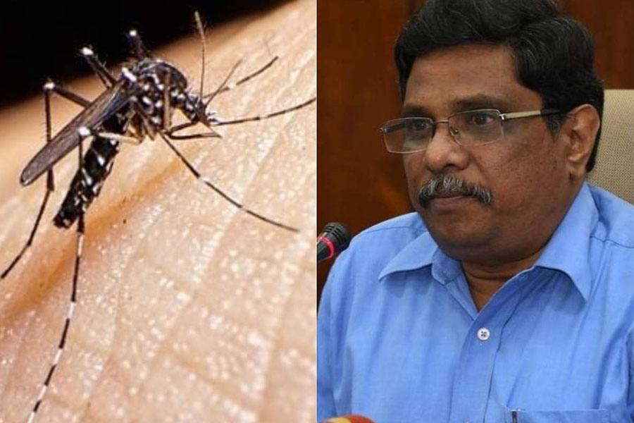 டெங்கு காய்ச்சலை கட்டுப்படுத்துவது குறித்து மாவட்ட ஆட்சியர்களுடன் தலைமை செயலாளர் ஆலோசனை!