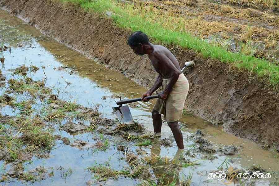 தமிழகத்தில் 73 லட்சம் சிறு, குறு விவசாயிகளுக்கு மத்திய அரசு அறிவித்தபடி  உதவித் தொகை வழங்கப்படும்!