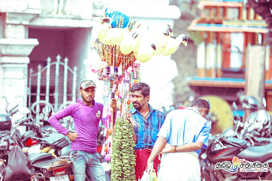 சித்ரோசு எனும் சித்திரைவிசு