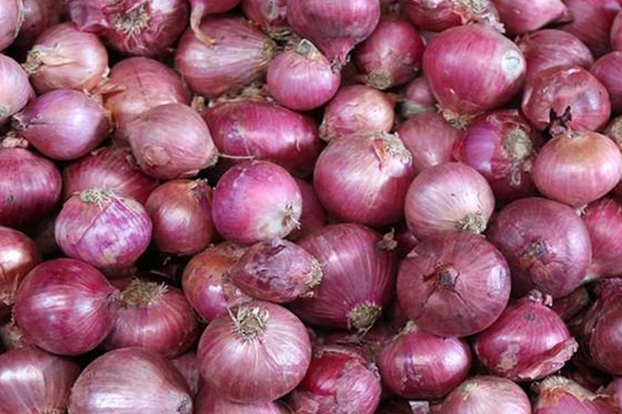 பெரிய வெங்காயத்தை இறக்குமதி செய்ய மத்திய அரசு முடிவு!