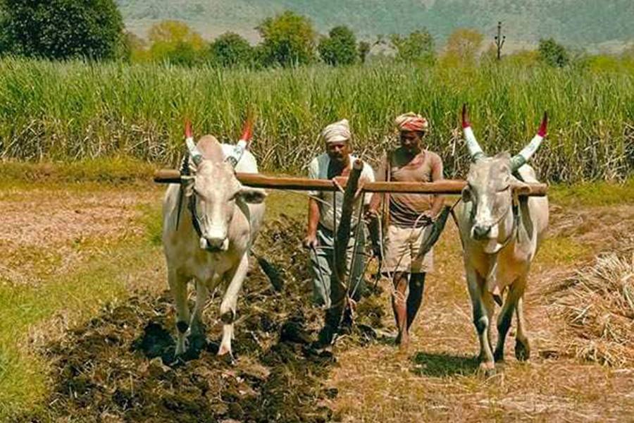 மானியத்தில் வழங்கிய தானியங்கி விளக்குப்பொறிகள் தரமற்றவை : விவசாயிகள் குற்றச்சாட்டு