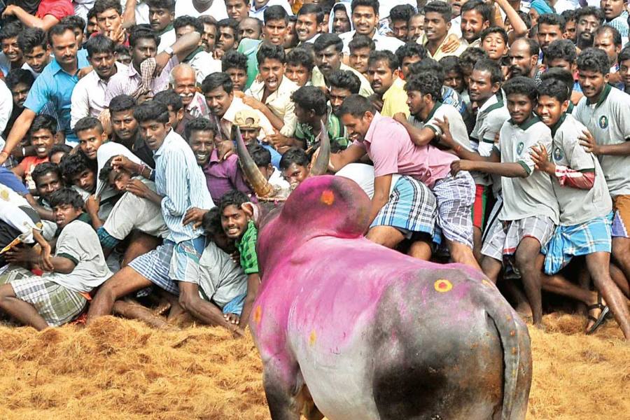 வாடிவாசலில் முதல்வர், துணை முதல்வர் பெயரில் கல்வெட்டு வைக்க பொதுமக்கள் எதிர்ப்பு!