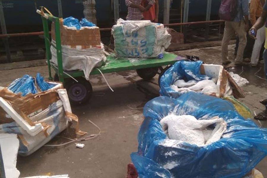 சென்னை ஹோட்டல்களுக்கு வந்த 1000 கிலோ நாய்க்கறி பறிமுதல்: போலீசார் தீவிர விசாரணை 