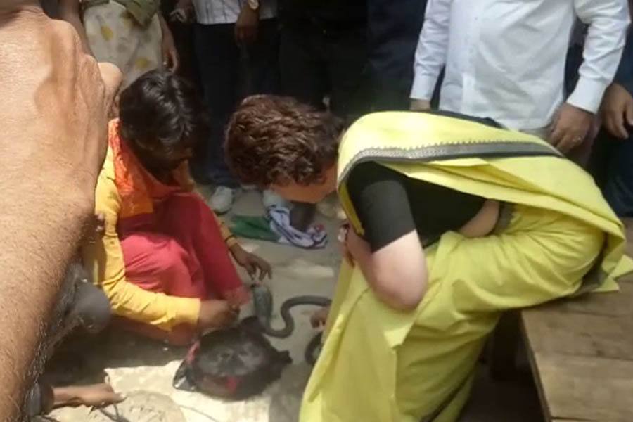 பாம்புகளுடன் விளையாடும் பிரியங்கா காந்தி... -இணையத்தளத்தில் வைரலாகும் வீடியோ!