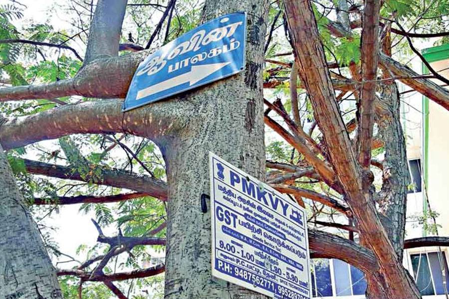 மரங்களில் விளம்பரம் வைக்க தடை, மீறினால் அபராதம்!