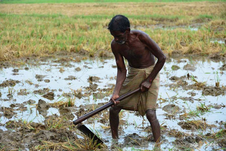 கஜா புயலால் வாழ்வாதாரத்தை இழந்துள்ள விவசாயிகளுக்கு புதிய திட்டம்