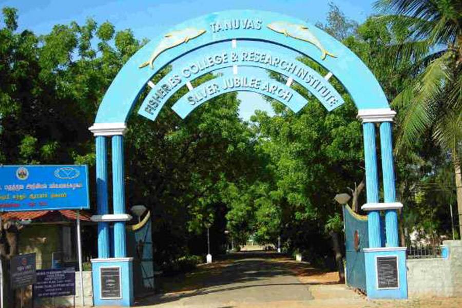 டாக்டர் ஜெயலலிதா மீன்வளப் பல்கலைக்கழகத்தில் புதிதாக 3 பட்டப்படிப்புகள்!