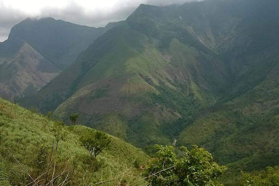 குரங்காணிக்கு டிரெக்கிங் செல்லலாம் 