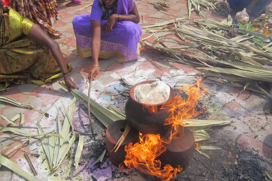பொங்கல் பரிசாக குடும்ப அட்டைதாரர்களுக்கு, தலா ரூ.1000 வழங்கப்படும்- ஆளுநர்