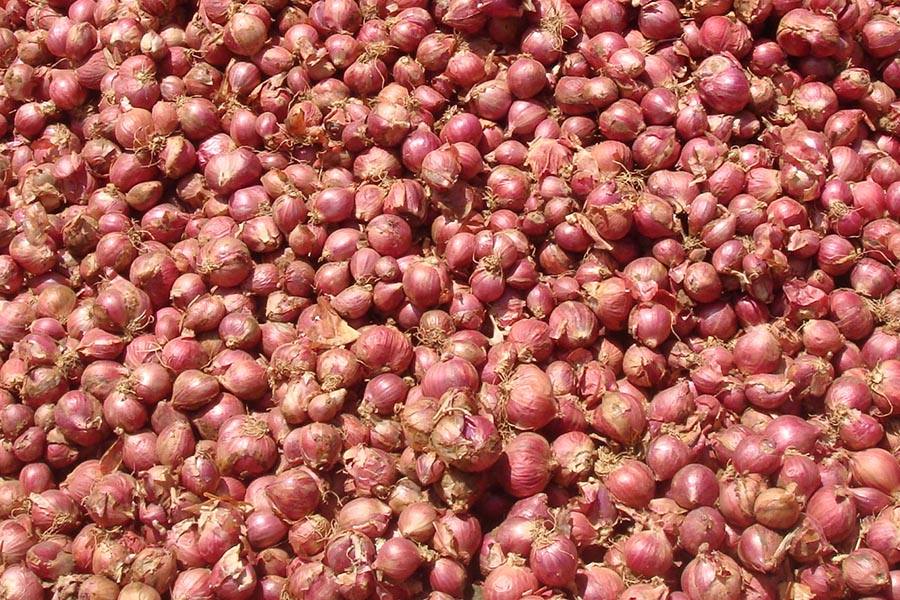 ஒரு கிலோ சின்னவெங்காயம் ஒரு ரூபாய்க்கு விற்பனை - கோவையில் விவசாயிகள் நூதன போராட்டம்!