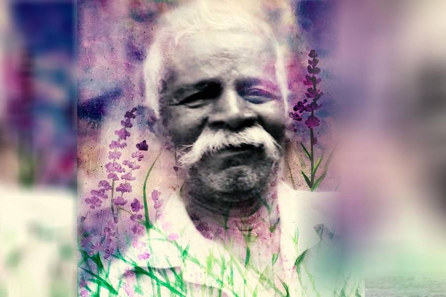 அப்பாவுக்கு...