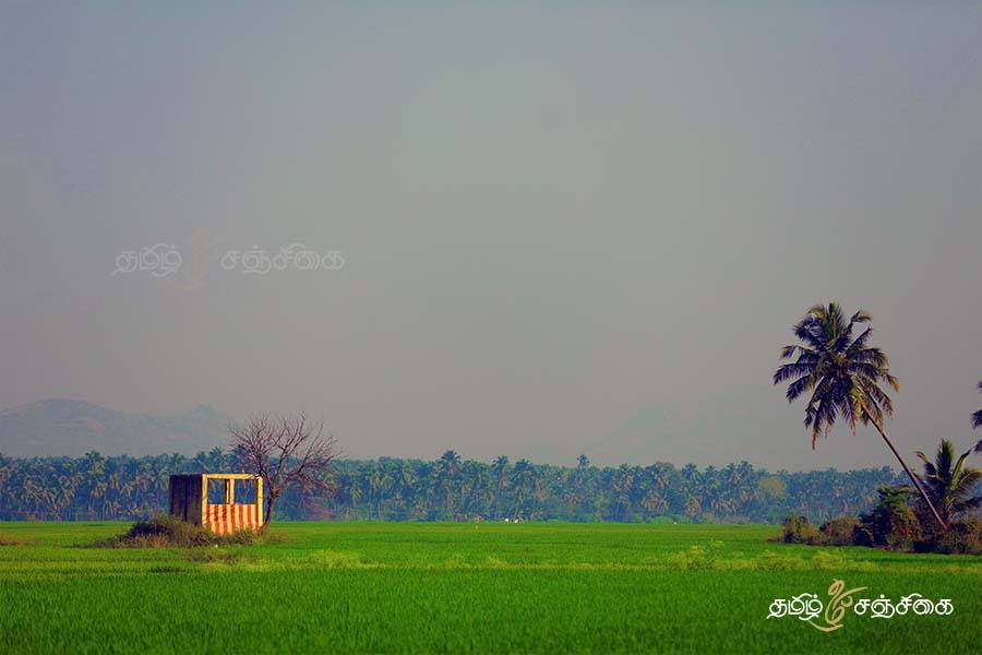 நிழல்
